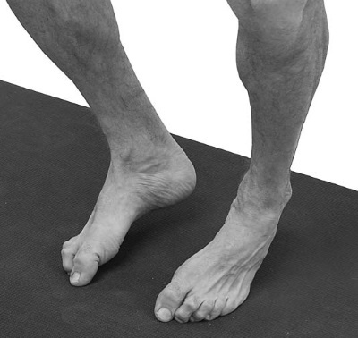 Иллюстрация к книге — Йогатерапия. Практическое руководство [i_204.jpg]