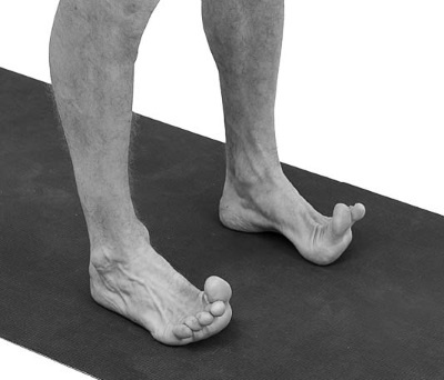 Иллюстрация к книге — Йогатерапия. Практическое руководство [i_205.jpg]