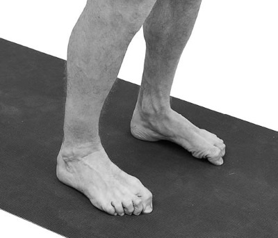 Иллюстрация к книге — Йогатерапия. Практическое руководство [i_206.jpg]