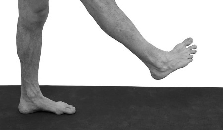 Иллюстрация к книге — Йогатерапия. Практическое руководство [i_207.jpg]