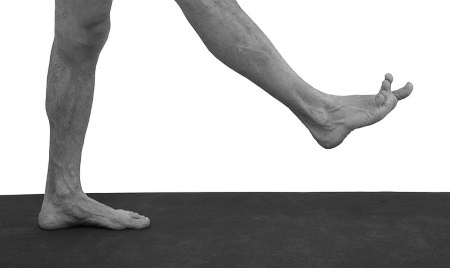 Иллюстрация к книге — Йогатерапия. Практическое руководство [i_208.jpg]