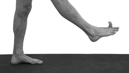 Иллюстрация к книге — Йогатерапия. Практическое руководство [i_209.jpg]