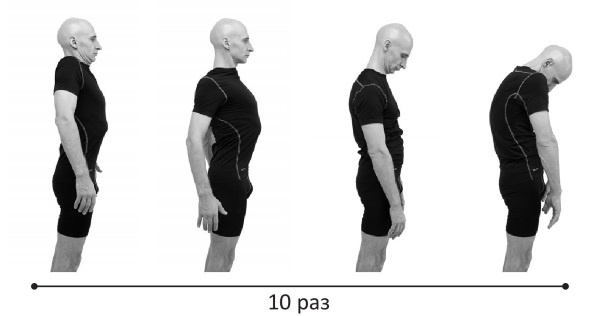 Иллюстрация к книге — Йогатерапия. Практическое руководство [i_229.jpg]