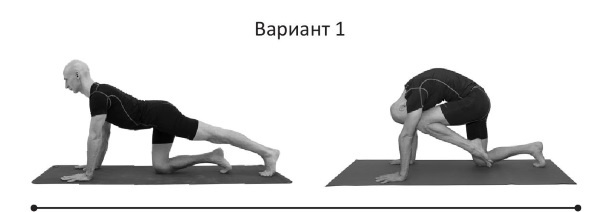 Иллюстрация к книге — Йогатерапия. Практическое руководство [i_243.jpg]