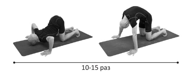 Иллюстрация к книге — Йогатерапия. Практическое руководство [i_247.jpg]