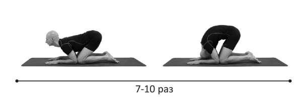 Иллюстрация к книге — Йогатерапия. Практическое руководство [i_253.jpg]