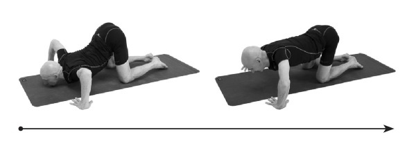 Иллюстрация к книге — Йогатерапия. Практическое руководство [i_258.jpg]