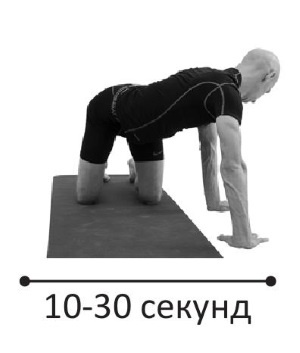 Иллюстрация к книге — Йогатерапия. Практическое руководство [i_268.jpg]