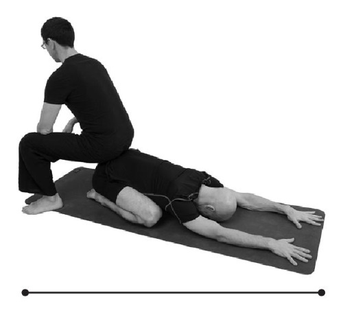 Иллюстрация к книге — Йогатерапия. Практическое руководство [i_280.jpg]