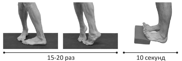 Иллюстрация к книге — Йогатерапия. Практическое руководство [i_286.jpg]