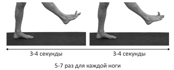 Иллюстрация к книге — Йогатерапия. Практическое руководство [i_292.jpg]