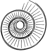 Иллюстрация к книге — Биоритмы, или Как стать здоровым [_06.jpg]