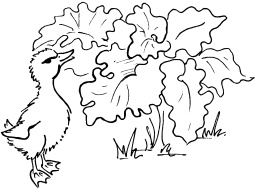 Иллюстрация к книге — Биоритмы, или Как стать здоровым [_08.jpg]