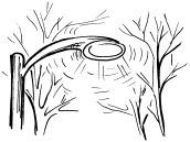 Иллюстрация к книге — Биоритмы, или Как стать здоровым [_27.jpg]