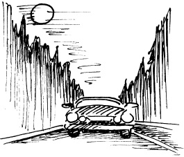 Иллюстрация к книге — Биоритмы, или Как стать здоровым [_28.jpg]