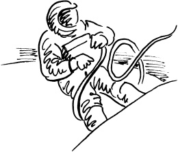 Иллюстрация к книге — Биоритмы, или Как стать здоровым [_31.jpg]