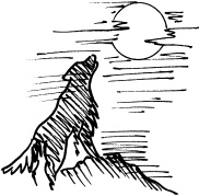 Иллюстрация к книге — Биоритмы, или Как стать здоровым [_39.jpg]