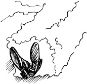 Иллюстрация к книге — Биоритмы, или Как стать здоровым [_44.jpg]