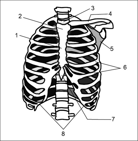 Иллюстрация к книге — Все дыхательные гимнастики. Для здоровья тех, кому за... [Autogen_eBook_id2.jpg]