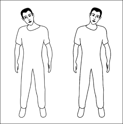 Иллюстрация к книге — Все дыхательные гимнастики. Для здоровья тех, кому за... [Autogen_eBook_id31.jpg]