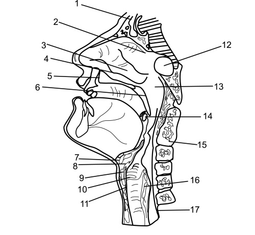 Иллюстрация к книге — Все дыхательные гимнастики. Для здоровья тех, кому за... [Autogen_eBook_id37.jpg]