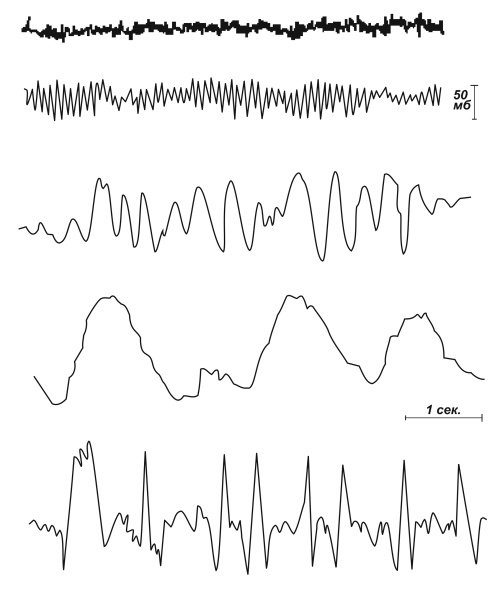 Иллюстрация к книге — Медицинские исследования. Полный справочник [i_008.jpg]