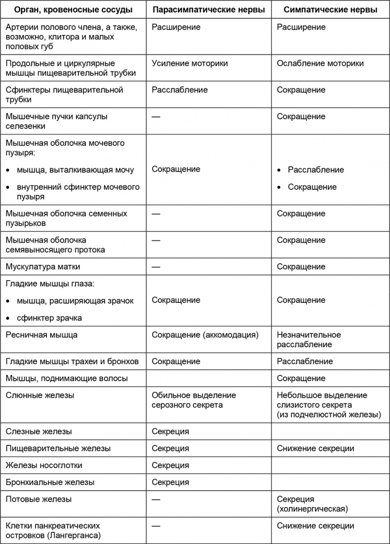 Иллюстрация к книге — Здоровый мужчина в вашем доме [i_051.jpg]