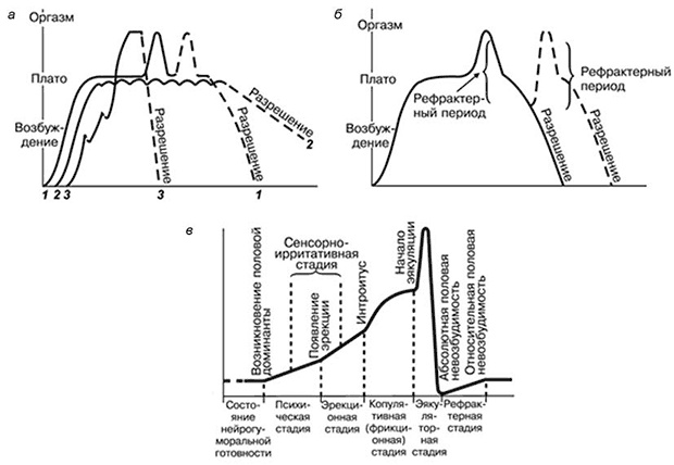 Иллюстрация к книге — Здоровый мужчина в вашем доме [i_088.jpg]