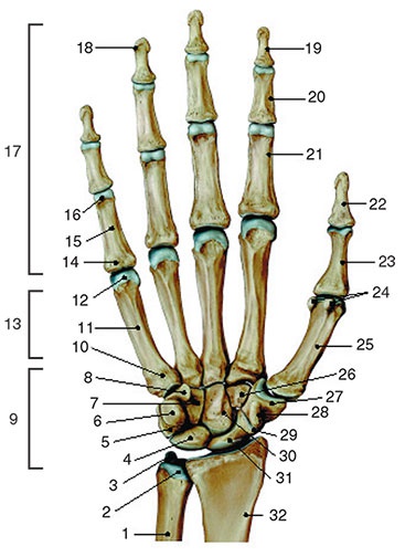 Иллюстрация к книге — Здоровый мужчина в вашем доме [i_099.jpg]