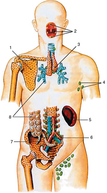 Иллюстрация к книге — Здоровый мужчина в вашем доме [i_116.jpg]