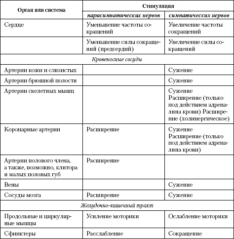 Иллюстрация к книге — Атлас. Анатомия и физиология человека [t13.jpg]