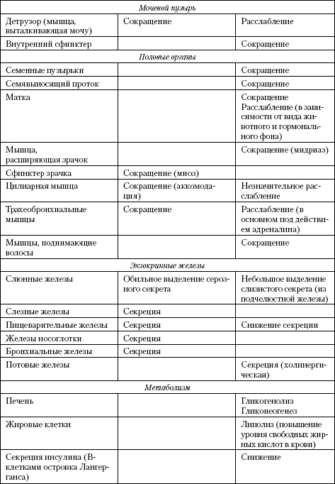 Иллюстрация к книге — Атлас. Анатомия и физиология человека [t13_.jpg]