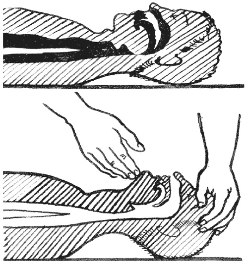 Иллюстрация к книге — 1000 советов опытного доктора. Как помочь себе и близким в экстремальных ситуациях [i_010.jpg]