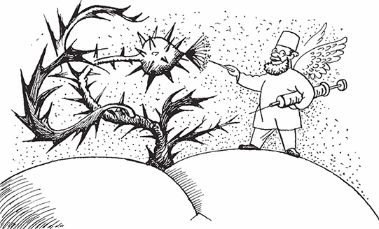 Иллюстрация к книге — Геморрой. Излечение без операции [i_003.jpg]