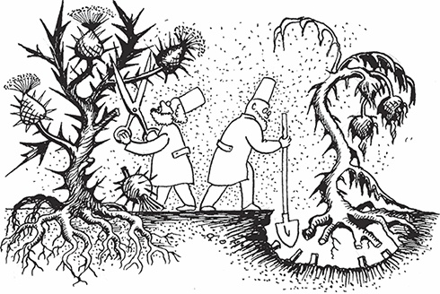 Иллюстрация к книге — Геморрой. Излечение без операции [i_012.jpg]