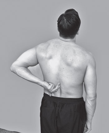 Иллюстрация к книге — Изометрическая гимнастика для занятых людей [Autogen_eBook_id12.jpg]