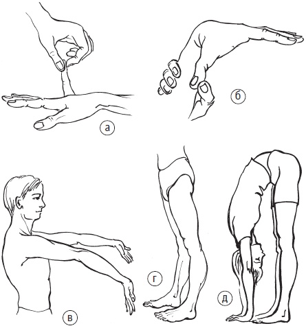 Иллюстрация к книге — Изометрическая гимнастика для занятых людей [Autogen_eBook_id15.jpg]