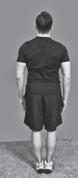 Иллюстрация к книге — Изометрическая гимнастика для занятых людей [Autogen_eBook_id47.jpg]