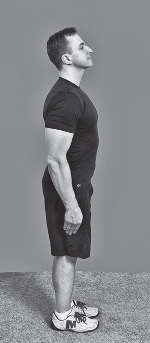 Иллюстрация к книге — Изометрическая гимнастика для занятых людей [Autogen_eBook_id48.jpg]