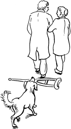 Иллюстрация к книге — Как избавиться от боли в суставах ног [i_007.jpg]