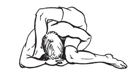 Иллюстрация к книге — Позвоночник без боли. Курс изометрической гимнастики [i_007.jpg]