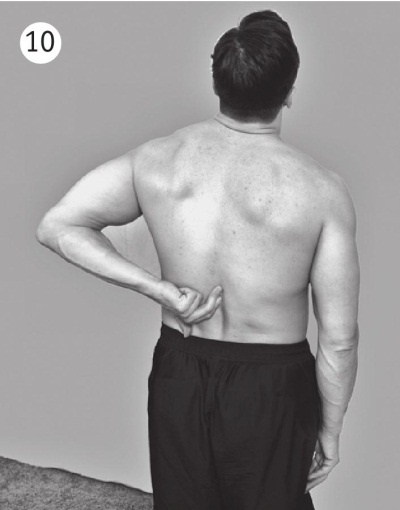 Иллюстрация к книге — Позвоночник без боли. Курс изометрической гимнастики [i_017.jpg]