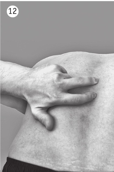 Иллюстрация к книге — Позвоночник без боли. Курс изометрической гимнастики [i_019.jpg]