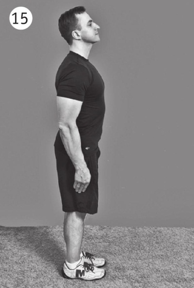 Иллюстрация к книге — Позвоночник без боли. Курс изометрической гимнастики [i_022.jpg]