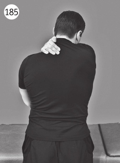 Иллюстрация к книге — Позвоночник без боли. Курс изометрической гимнастики [i_196.jpg]