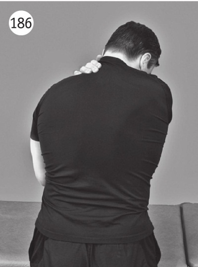 Иллюстрация к книге — Позвоночник без боли. Курс изометрической гимнастики [i_197.jpg]