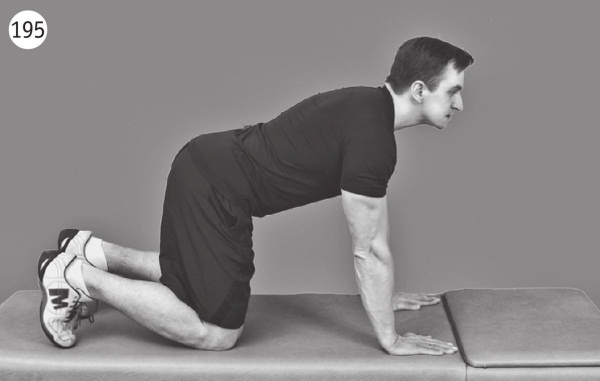 Иллюстрация к книге — Позвоночник без боли. Курс изометрической гимнастики [i_207.jpg]