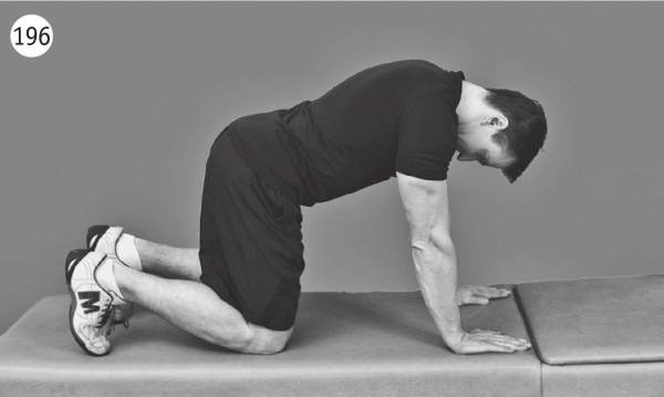 Иллюстрация к книге — Позвоночник без боли. Курс изометрической гимнастики [i_208.jpg]