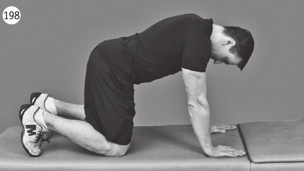 Иллюстрация к книге — Позвоночник без боли. Курс изометрической гимнастики [i_210.jpg]