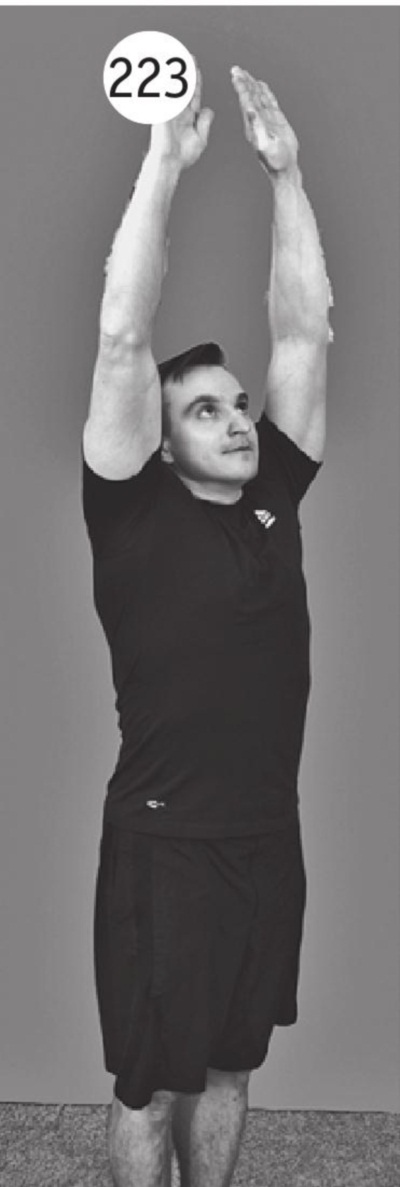 Иллюстрация к книге — Позвоночник без боли. Курс изометрической гимнастики [i_235.jpg]